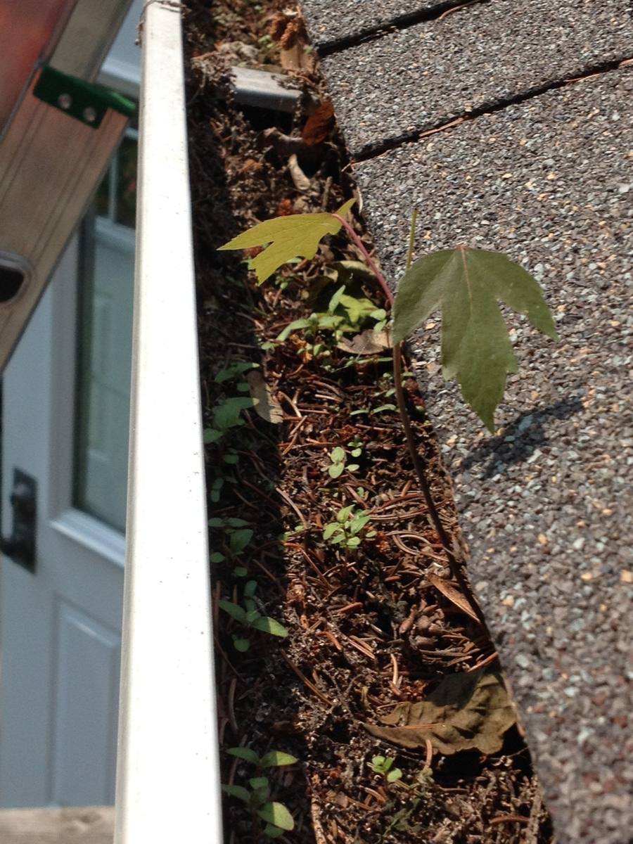 Failed gutter cover removed and replaced by Absolute Home Creations — project 1