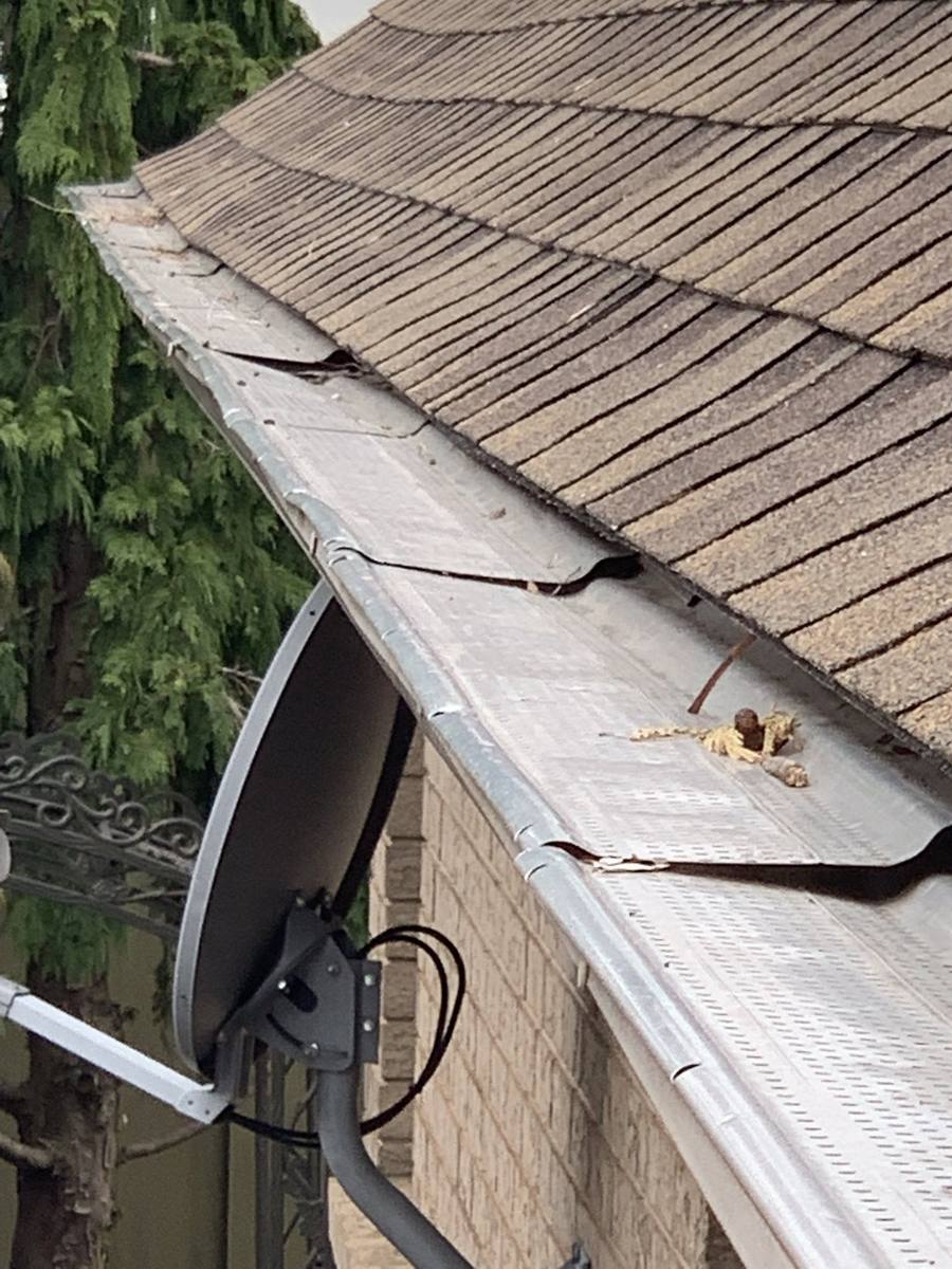 Failed gutter cover removed and replaced by Absolute Home Creations — project 7