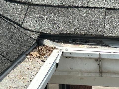 Leaves and shingle grit building up in an unguarded gutter at a roof valley