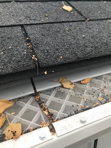 Leaves and shingle grit sitting on top of a perforated plastic gutter cover